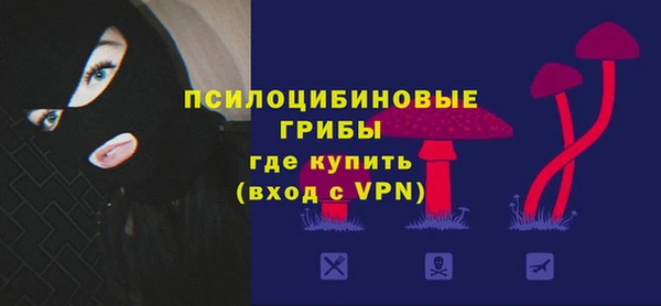 мяу мяу мука Янаул