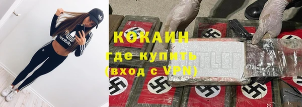 прущие грибы Абдулино