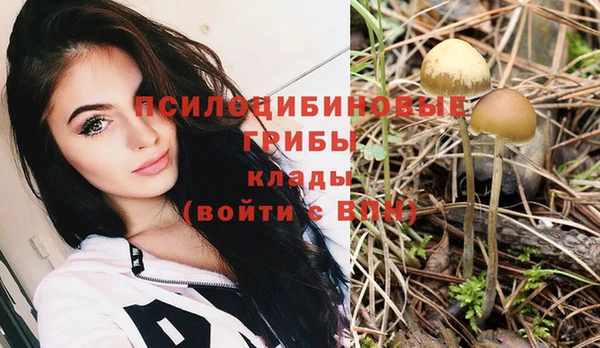 прущие грибы Абдулино